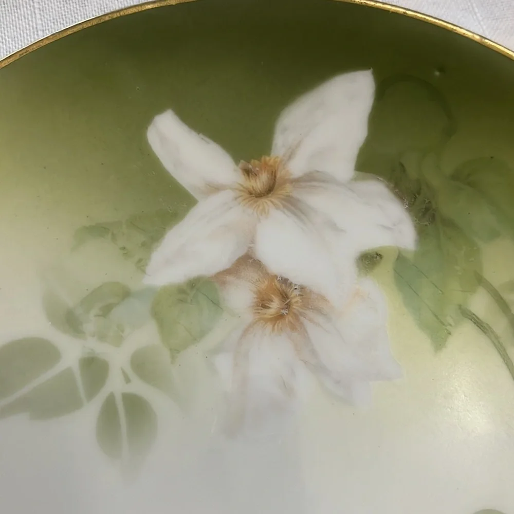 Antique delicate white floral design on porcelain plates RS Tillowitz Germany
